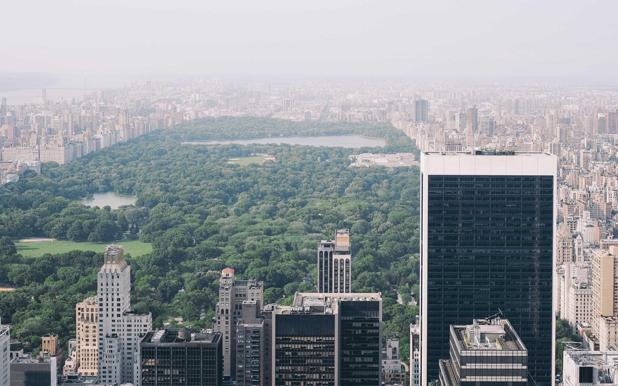 Aerial view of a city and its central park, map-like from above